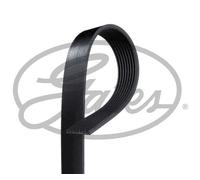 GATES 8PK2485 Cinghia servizi PER FORD USA Expedition JEEP Grand Cherokee II