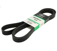 Cinghia poly-V GATES 8PK2513HD per SETRA Series 500 12.809 2012-