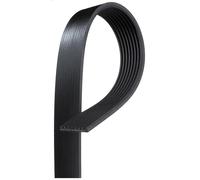 Cinghia poly-V GATES 8PK2855HD