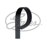 Cinghia Poly-V GATES 9PK1725HD
