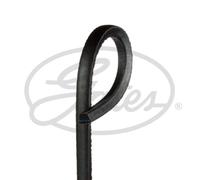 GATES 6735ES Cinghia trapezoidale lunghezza 1.450 mm