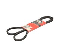 Gates Cinghia trapezoidale AVX10x1500HD 10 x 1500 per MAN F2000 NÜ E2000 LION'S CITY NL ÜL