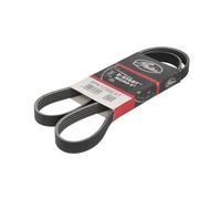 GATES 5PK1256EST Cinghia servizi