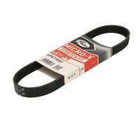 GATES 6PK718SF Cinghia servizi