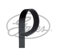 Cinghia Poly-V GATES GAT9PK2080HD