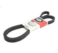 Cinghia poly-V GATES K061015 per DODGE CALIBER 1.8 2006-2009