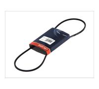 Cinghia Poly-V HANS PRIES 104 130