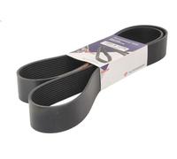 HUTCHINSON 1580 K 12TK Cinghia servizi