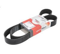 Cinghia poly-V LEMA 10PK1545L per VOLVO FH 12.777 2005-