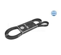 Meyle V-Ribbed Belt 500062550