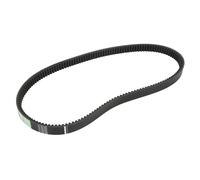 Cinghia Poly-V OPTIBELT 1001000AP