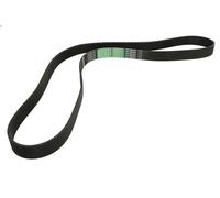 Cinghia poly-V OPTIBELT 1002651AP per MAN TGS I 10.518 2016-2021