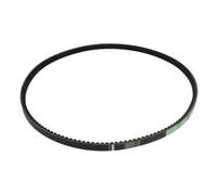 Cinghia Poly-V OPTIBELT 1003983AP