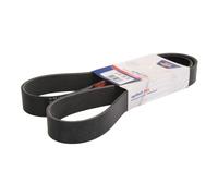 Cinghia Poly-V OPTIBELT 10PK1556