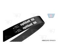 Cinghia Poly-V OPTIBELT 10PK1705