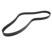 Cinghia poly-V OPTIBELT 8PK1495