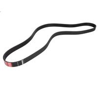 Cinghia poly-V OPTIBELT 8PK172