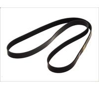 Cinghia poly-V OPTIBELT 8PK2050