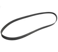 Cinghia Poly-V OPTIBELT 8PK2250 per DAF CF 10.837 2015-