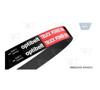 OPTIBELT 9 PK 1825 TM Cinghia servizi