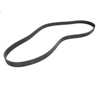 Cinghia poly-V OPTIBELT 9PK1925 per MERCEDES-BENZ AXOR 2 11.967 2004-2005
