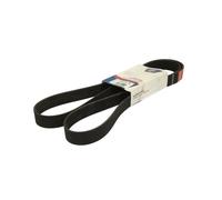 OPTIBELT 9 PK 2010 TM Cinghia servizi