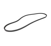 Cinghia Poly-V OPTIBELT BX79 17X2040