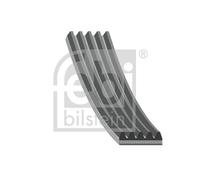 Cinghia Poly-V per ABARTH CHRYSLER DODGE FIAT FORD HONDA LANCIA MAZDA OPEL TOYOT