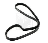 Cinghia Poly-V PER Alfa Romeo 155 2.0 T.SPARK 106 KW 144 CV