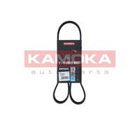 Cinghia Poly-V per ALFA ROMEO AUDI BMW CITROËN FIAT JAGUAR LANCIA PEUGEOT PORSCH