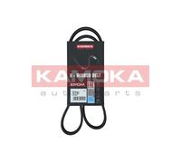 Cinghia Poly-V per ALFA ROMEO AUDI BMW CUPRA FIAT SEAT SKODA VW 1 159 2 3 4 5 A1