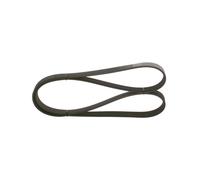 Cinghia Poly-V per ALFA ROMEO AUDI CHRYSLER LANCIA NISSAN SEAT SKODA VOLVO VW 85