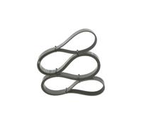 Cinghia Poly-V per ALFA ROMEO BMW BMW (BRILLIANCE) HOLDEN JEEP MERCEDES-BENZ OPE