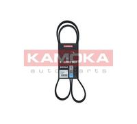 Cinghia Poly-V per ALFA ROMEO CADILLAC CHEVROLET CHRYSLER DACIA DODGE FIAT FORD