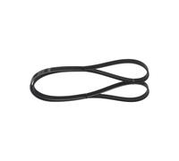 Cinghia Poly-V per ALFA ROMEO HOLDEN MERCEDES-BENZ MITSUBISHI TOYOTA 155 164 CLA