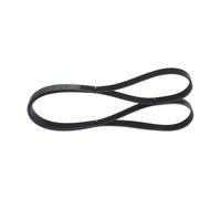 Cinghia Poly-V per ALFA ROMEO HONDA HYUNDAI KIA LANCIA LAND ROVER 155 164 ACCORD