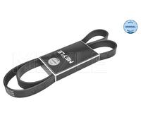 Cinghia Poly-V per ALFA ROMEO HONDA HYUNDAI LAND ROVER 155 164 ACCORD DEFENDER D