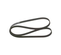 Cinghia Poly-V per ALPINA BMW CHEVROLET OPEL SEAT SKODA VAUXHALL VW 1 5 6 7 ASTR