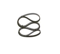 Cinghia Poly-V per ALPINE FIAT MERCEDES-BENZ A610 PALIO SIENA STRADA VA