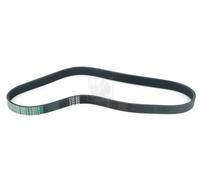 Cinghia Poly-V PER Audi A3 Sportback 1.6 E-Power 75 KW 102 CV