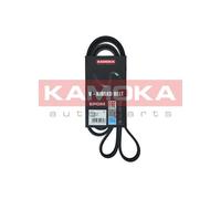 Cinghia Poly-V per AUDI BMW CHEVROLET DAEWOO MERCEDES-BENZ MITSUBISHI OPEL SEAT