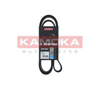Cinghia Poly-V per AUDI BMW CHRYSLER DODGE FORD KIA SEAT SUZUKI 300M 5 A4 A6 CAR