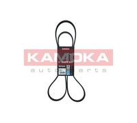 Cinghia Poly-V per AUDI BMW CITROËN FIAT HYUNDAI JAGUAR KIA LANCIA PEUGEOT PORSC