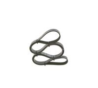 Cinghia Poly-V per AUDI BMW FORD LANCIA SEAT 5 A4 A6 EXEO GALAXY Y