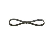 Cinghia Poly-V per AUDI BOGDAN CITROËN LADA SEAT SKODA VW 110 111 112 2110 2111