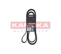 Cinghia Poly-V per AUDI CADILLAC CHEVROLET CHRYSLER DODGE JAGUAR JEEP MERCEDES-B