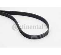 Cinghia Poly-V per AUDI CHEVROLET DAEWOO MERCEDES-BENZ MITSUBISHI OPEL SEAT SKOD