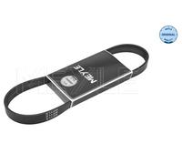 Cinghia Poly-V per AUDI CITROËN LADA SEAT SKODA VW 110 111 112 A1 A2 A3 ARONA AT