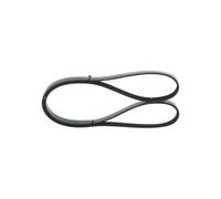 Cinghia Poly-V per AUDI CITROËN RENAULT SKODA TOYOTA VW A4 A6 A8 ALLROAD BX CLIO