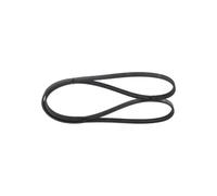 Cinghia Poly-V per AUDI DACIA PEUGEOT RENAULT 205 309 A4 A6 ALLROAD CLIO RAPID S
